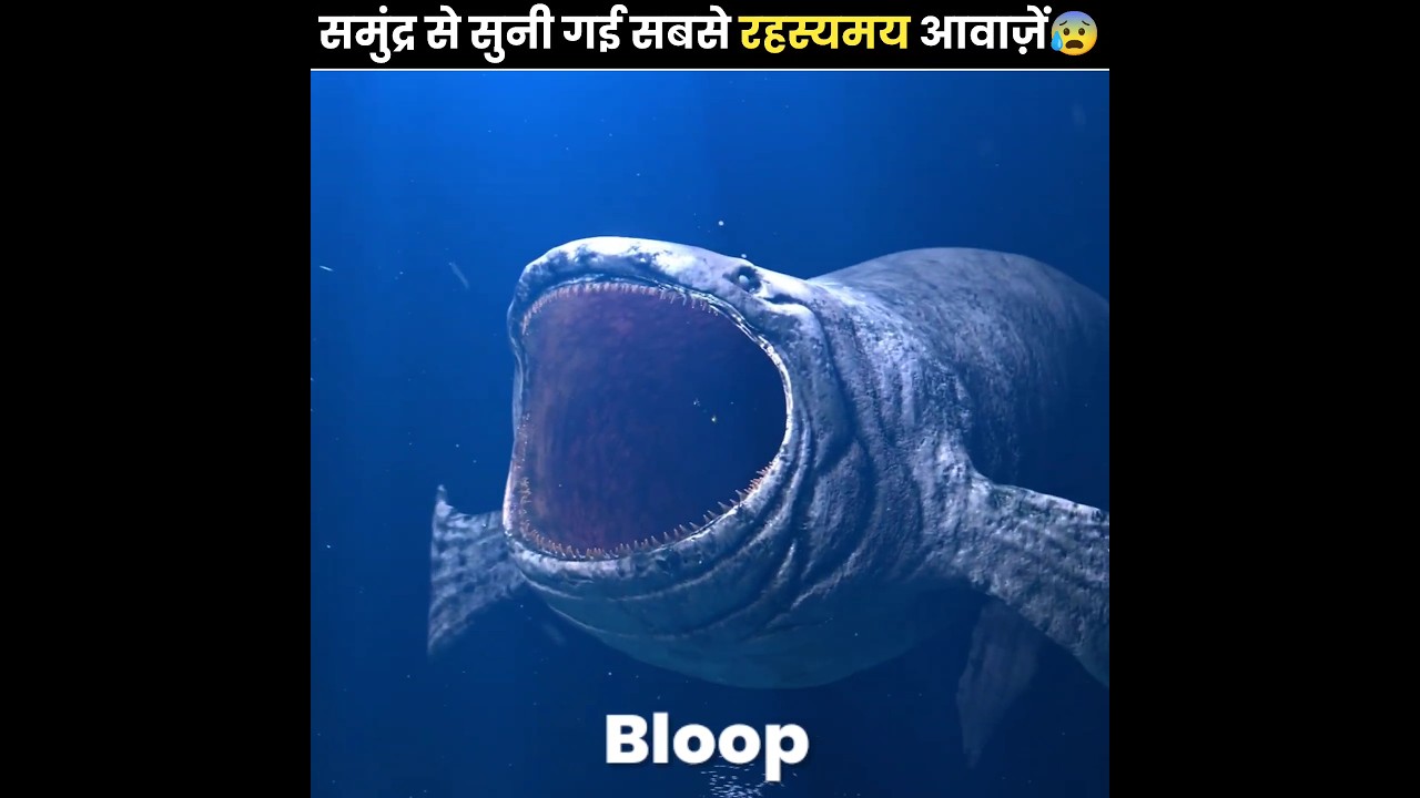 समुंद्र से Record की गई सबसे रहस्यमाई आवाज़ें ???? | Scariest Sounds Recorded From The Ocean | #shorts