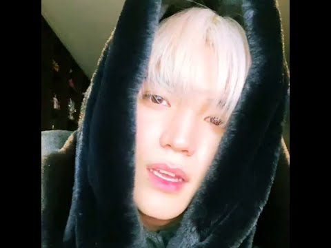 동숲 주민처럼 노래하는 태용🎵