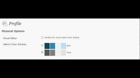 WordPress Visual Editor Problem