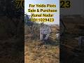 #yamunaexpresswayauthorityplots #yamunaauthorityplots #yeida #residential #property #home #house