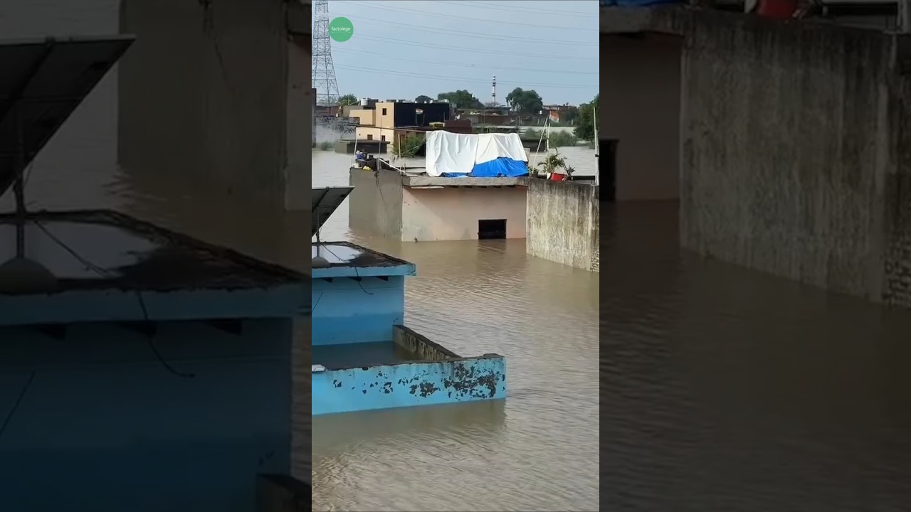 Yamuna's Rage: Delhi's Flood Devastation 