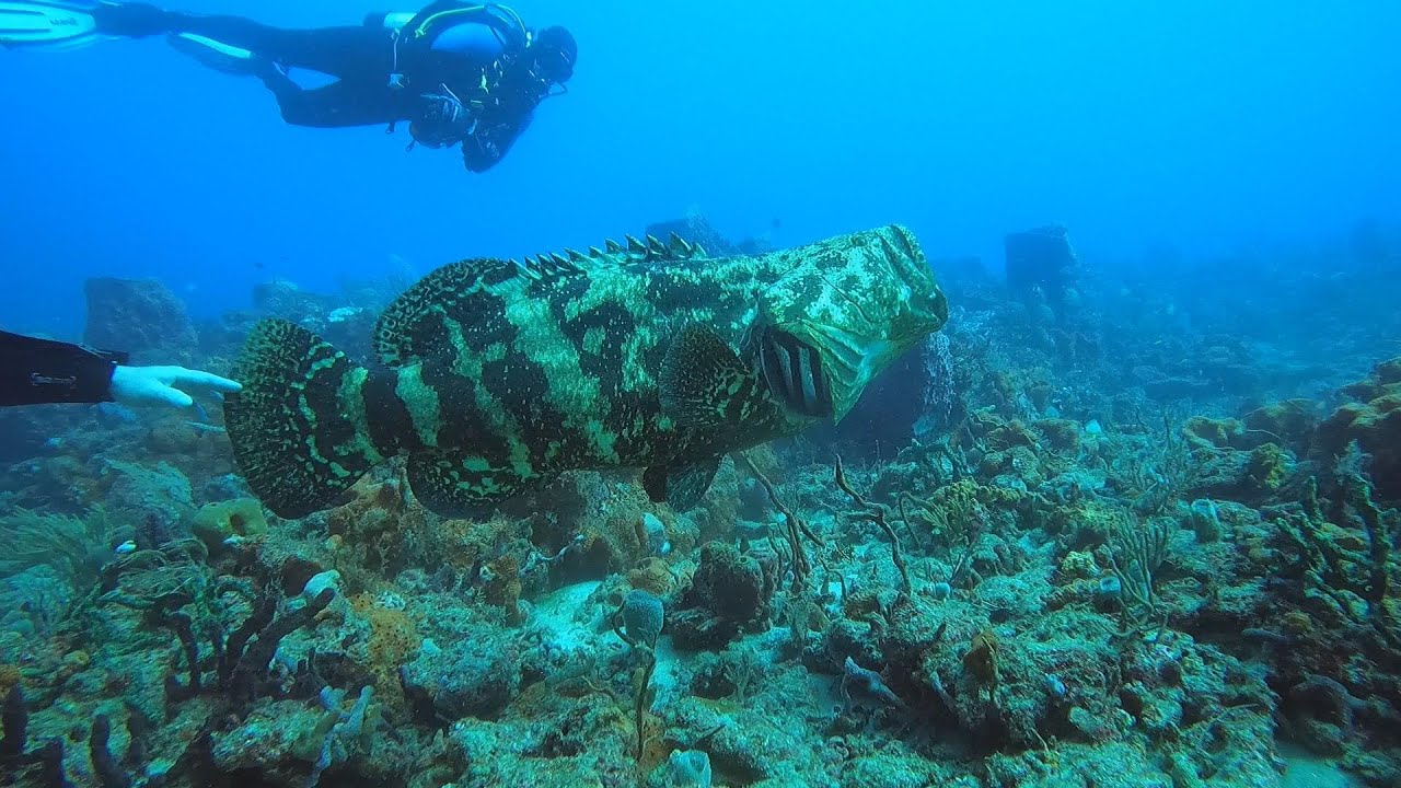 Pauls and 4th window