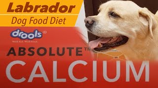 Labrador dog diet - calcium for