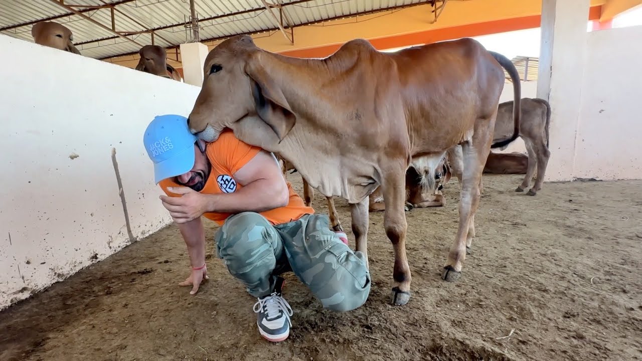 Sorry Sorry Sorry !!!