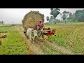 Bangladesh village life    