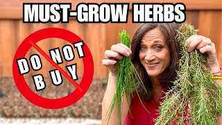5 MUSTGROW Herbs  DO NOT Buy These at the Grocery Store!