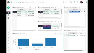 Migrating data from Excel to Grist: Team Expenses - January 23, 2025