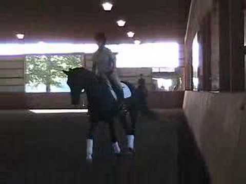 S.3 STEFFEN PETERS AND JANET BROWN-FOY Overview