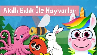 Akıllı Bıdık Ile Hayvanları Öğreniyorum - Okul Öncesi Çocuk - Eğitici Video - Çizgifilm