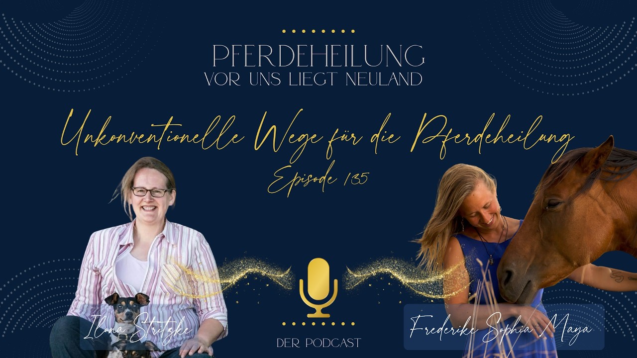 Pferdeheilung - Vor uns liegt Neuland