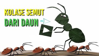 KERAJINAN TANGAN ! cara mudah membuat kolase SEMUT dari daun kering KERAJINAN TANGAN ! cara mudah membuat kolase SEMUT dari daun kering