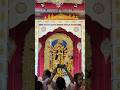 Durga Puja 2025 Mini Vlog | Pandal and Mela Vibes ✨ #viral