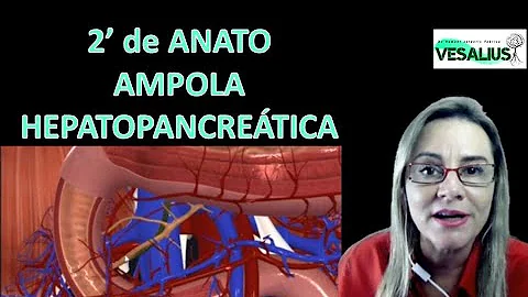 Como é formada a vesícula biliar?