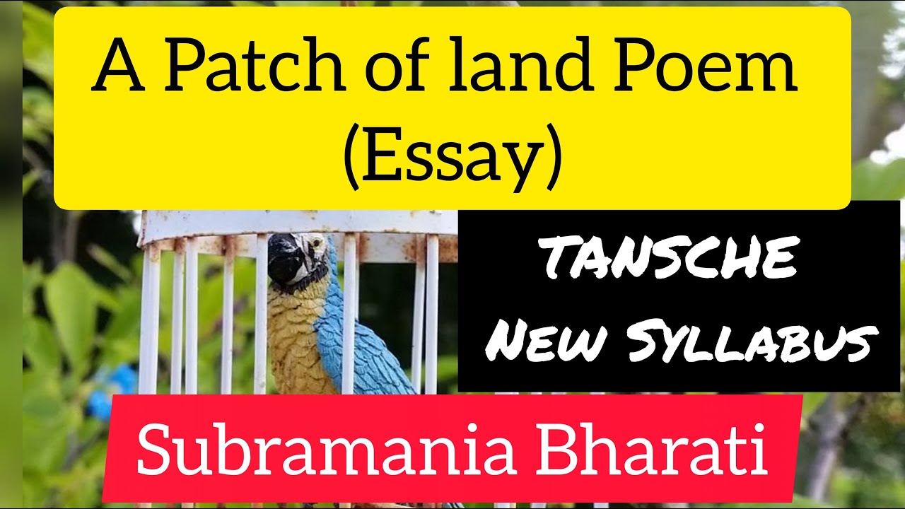 the patch of land poem essay in english