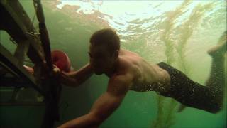 Shark Night 3D - Caged In