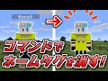 マイクラJava1 17 超簡単なネームタグの消し方 コマンド マイクラJava1 17 超簡単なネームタグの消し方 コマンド