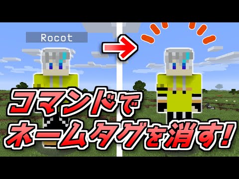【マイクラJava最新版対応】超簡単なネームタグの消し方！【コマンド】