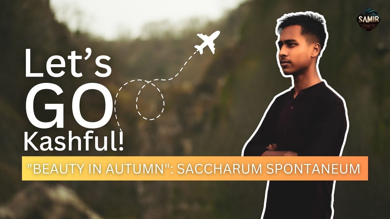 The Enchanting Beauty of Kashful View in Autumn #samir #cinematic #vlog  #kashful #sylhet
