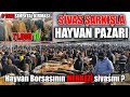 SİVAS ''ŞARKIŞLA'' HAYVAN PAZARI | Hayvan Borsasını düzenleyen PAZAR !!!