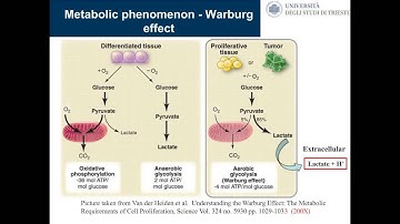 Giacinto Scoles-How to meet the challenge of counting and analyzing tumor cells circulating in the p