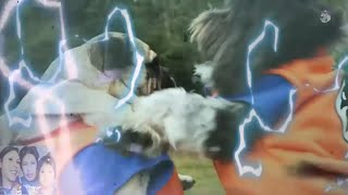 Aprende con Krystal( goku y naruto en perritos y gatos)xD