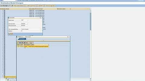 3. Central User Administration (CUA) - Creating Distribution Model and Partner Profiles - Part 4