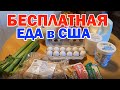 Бесплатно ПРОДУКТЫ в АМЕРИКЕ / Необычный день большой семьи в США