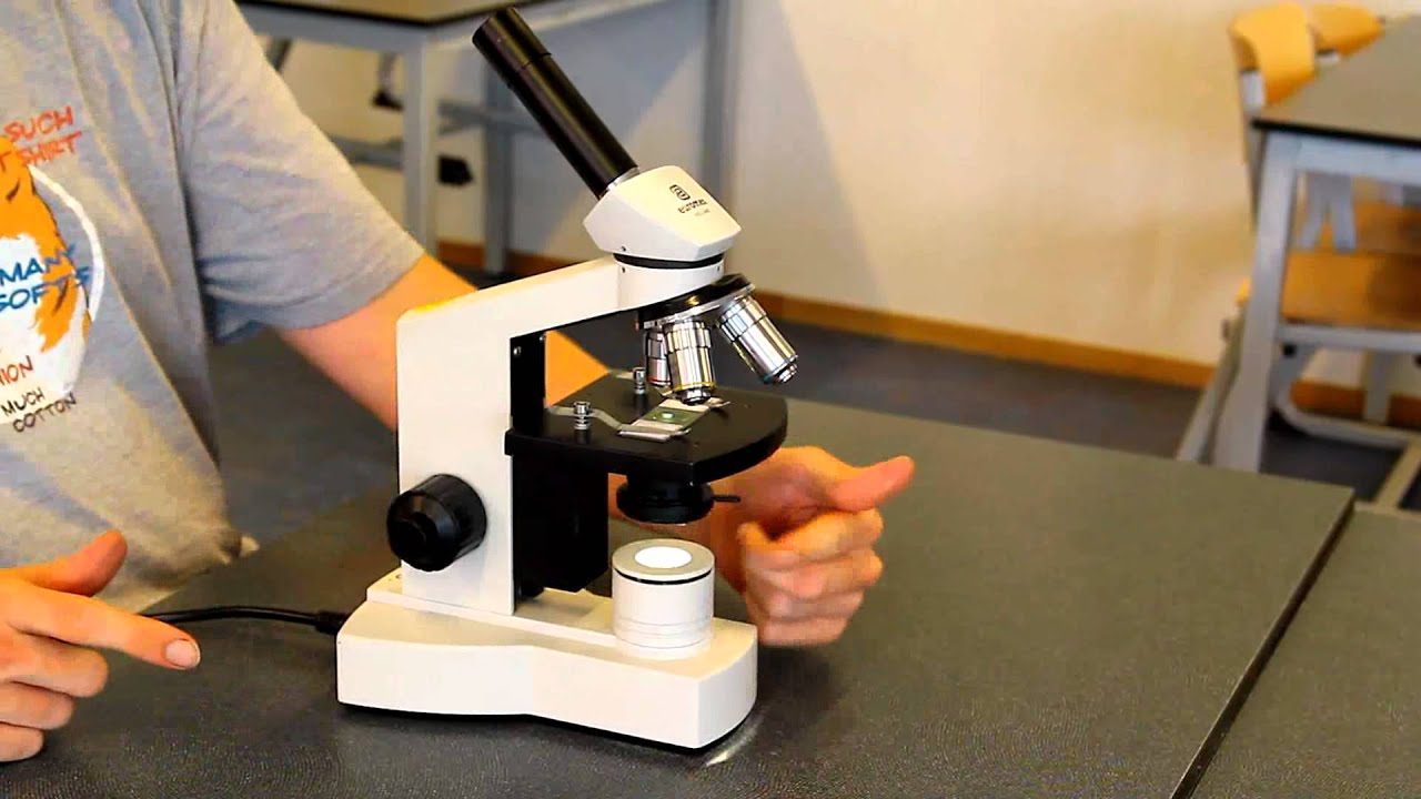 Microscoop Scherpstellen