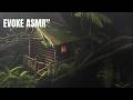 Heavy Rainstorm & Thunder in the Jungle | Cabin Sleep Sounds 10 Hours | Fall Asleep Fast
