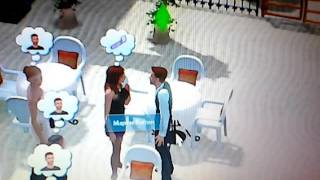 Sims 3