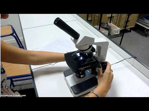 Vidéo: Comment Utiliser Un Microscope