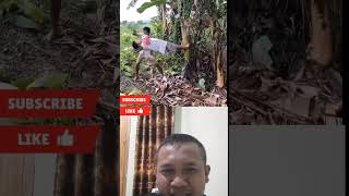 Ketika Ingin Menjadi Spiderman Lokal !!! #VideoKocak​#VideoLucu​#PrankKocak#viralshorts