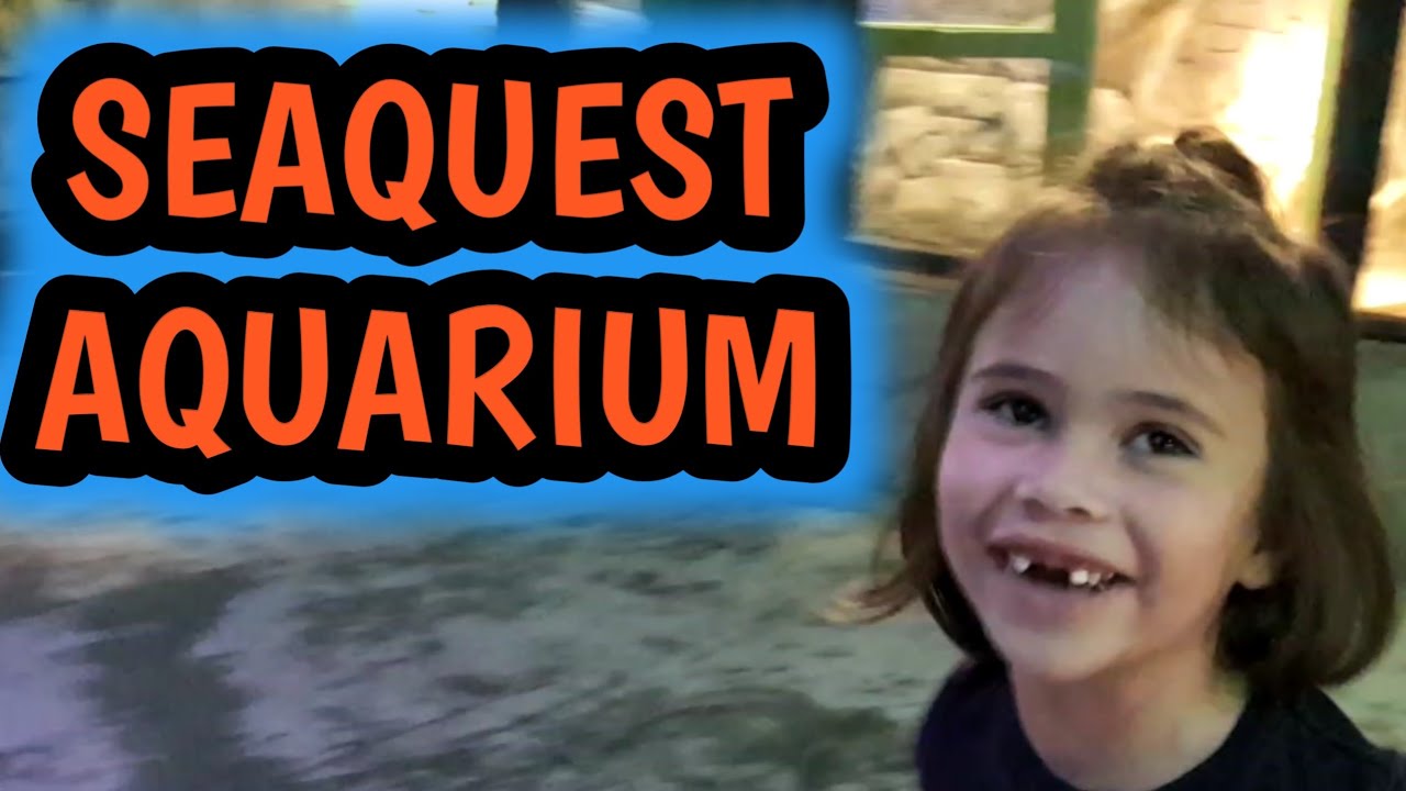 Seaquest Aquarium at Fort Worth Texas YouTube