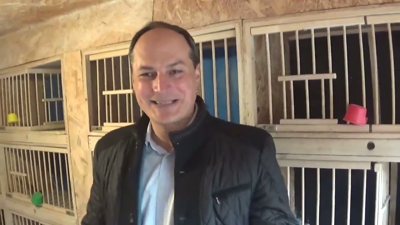 Columbofil dl Ionescu Andrei Targoviste Romania porumbei masculi de zbor 25 nov 2025