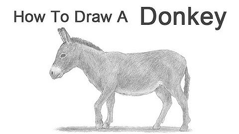 How to Draw a Donkey