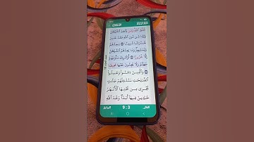 سورة النساء الآية 119-121 سعد الغامدي