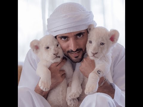 Dubai Crown Prince Sheikh Hamdan And His Pets