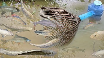 Creative Girl Make Fish Trap Using PVC - Fan Guard - Bamboo To Catch A Lot of Fish