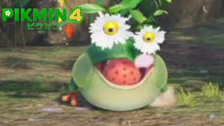 【ピクミン4】ダンドリ養成所8[ストーリー]