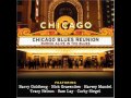 Chicago Blues Reunion (Sam Lay) - Hound Dog & Roll Over Beethoven
