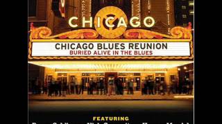 Video thumbnail of "Chicago Blues Reunion (Sam Lay) - Hound Dog & Roll Over Beethoven"