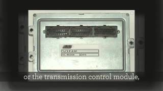 Auto Computer Repair At Solopcms.com