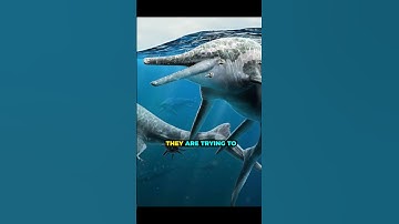 The Nevada Ichthyosaur Graveyard: A Jurassic Mystery🔥 #shorts #nevada #mystery #youtubeshorts