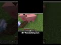 #minecraft #smp #sidecharacter #fyp #viral