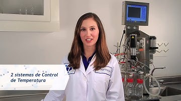 Thermolab   Biorreactor Labfors 5 Infors