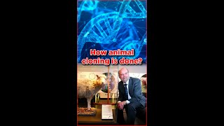 Evidence Of Ancient Cloning Technology Wow