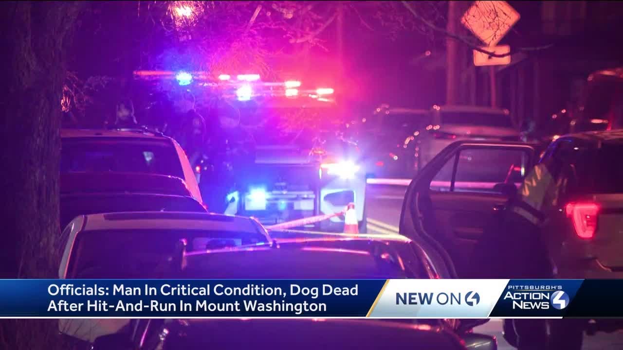 Man injured, dog killed after hit-and-run in Mount Washington - YouTube