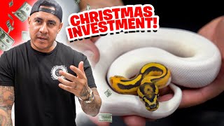 Christmas Present/Investment
