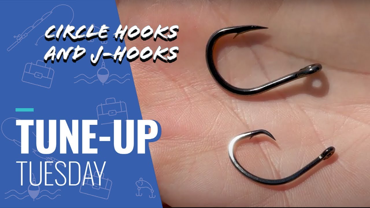 Tune-Up Tuesday: J Hook or a Circle Hook - Tips and Techniques
