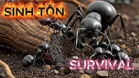 Bên Trong Thế Giới Kiến – Cỗ Máy Lao Động Hoàn Hảo Của Tự Nhiên